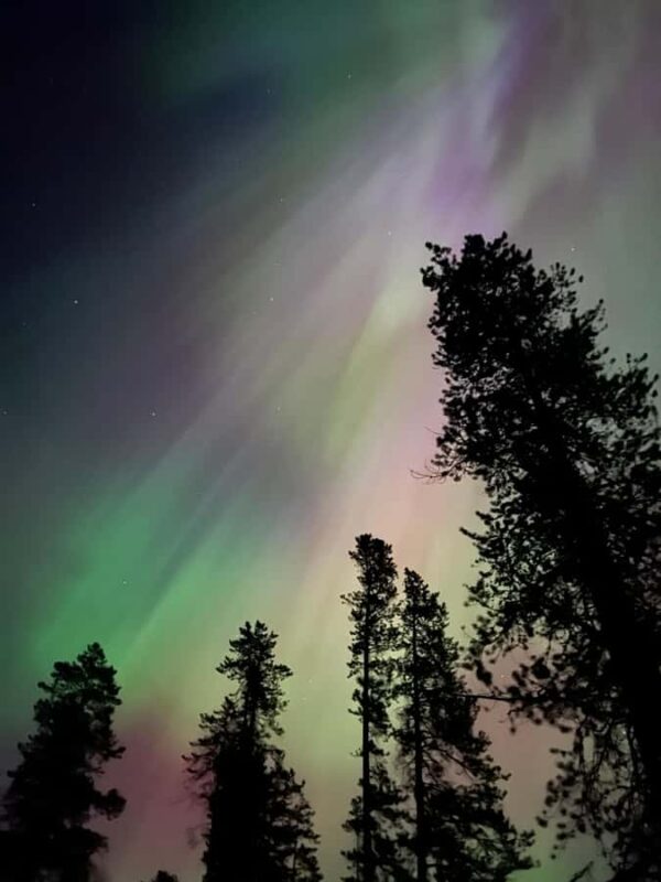 Banff Night Sky: Northern Lights and/or Stargazing Tour - Stargazing and Celestial Insights