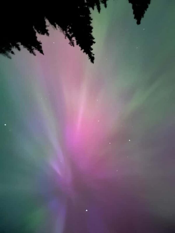 Banff Night Sky: Northern Lights and/or Stargazing Tour - Tour Logistics and Group Size