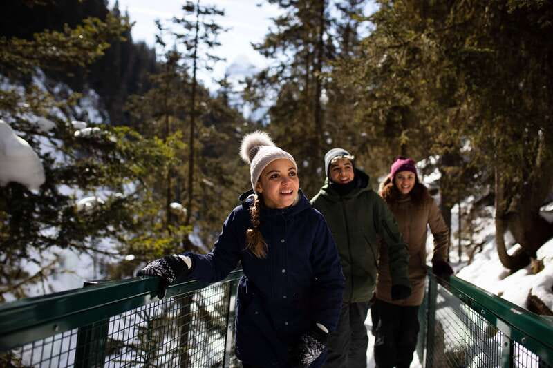 Banff: Premium Johnston Canyon Frozen Falls Guided Adventure - Key Points