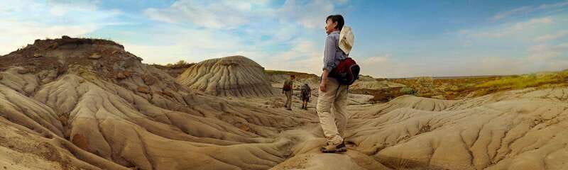 Banff: Private Badlands Tour with Royal Tyrrell Museum - Lunch at the Museum Café: Local Flavors with Scenic Views