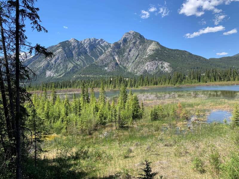 Banff PRIVATE Guided Nature Walk + Transportation - 2.5H - Discovering Banff’s Hidden Trails Away from Crowds