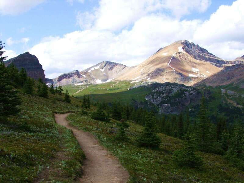Banff PRIVATE Guided Nature Walk + Transportation - 2.5H - Learning About Local Wildlife and Safety Tips