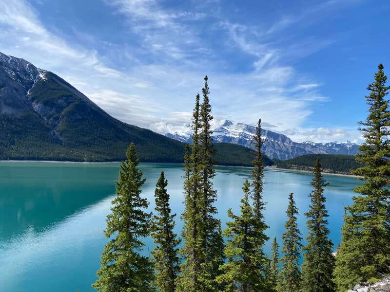 Banff PRIVATE Guided Nature Walk + Transportation - 2.5H - Who Will Best Enjoy This Tour?