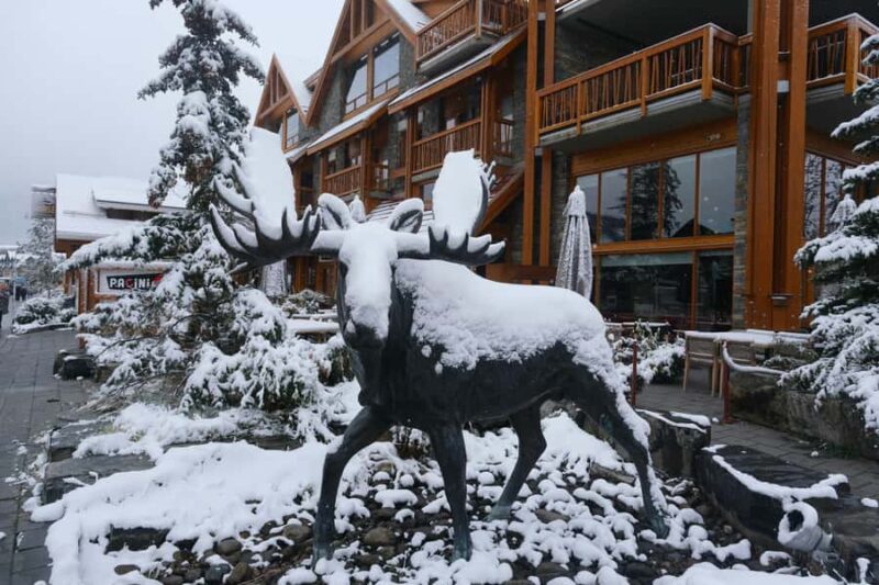 Banff: Private Premium Wildlife Viewing & Sunset Experience - Two Jack Lake: Prime Wildlife Corridor and Photo Opportunities