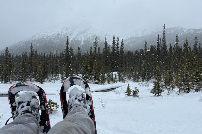 BANFF: Remote Guided Snowshoeing Adventure +Transportation - Key Points
