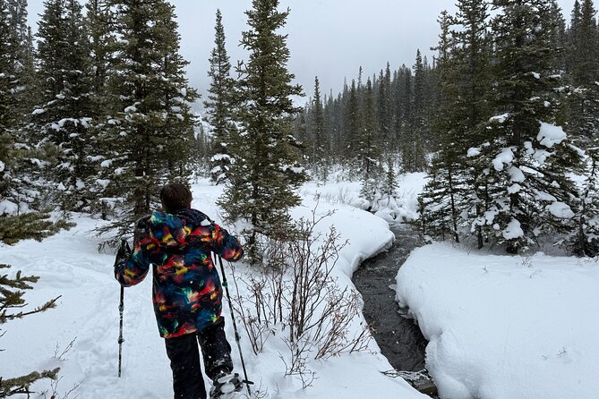 BANFF: Remote Guided Snowshoeing Adventure +Transportation - Who Will Enjoy This Tour?