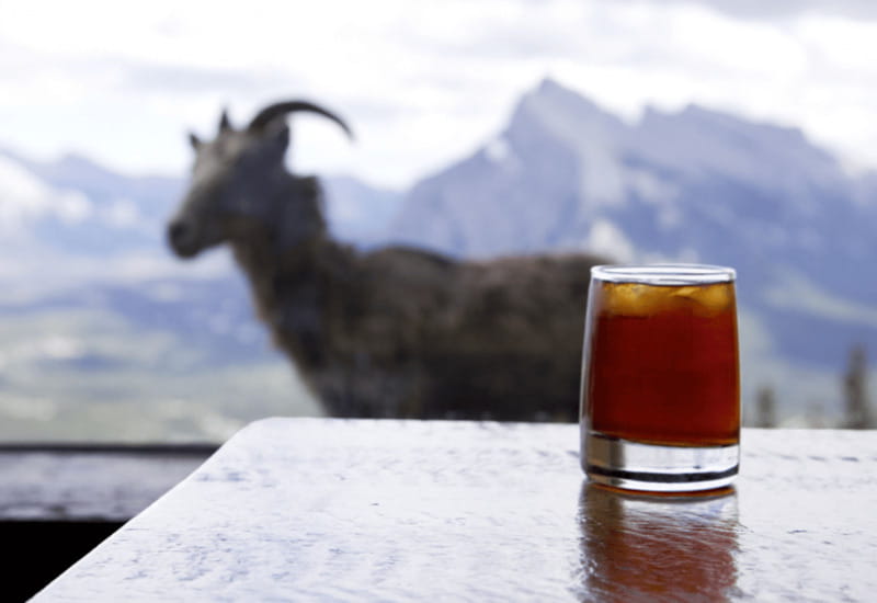 Banff: Sightseeing Chairlift Ride High Above Banff - The Cliffhouse Bistro: Dining at 7,000 Feet