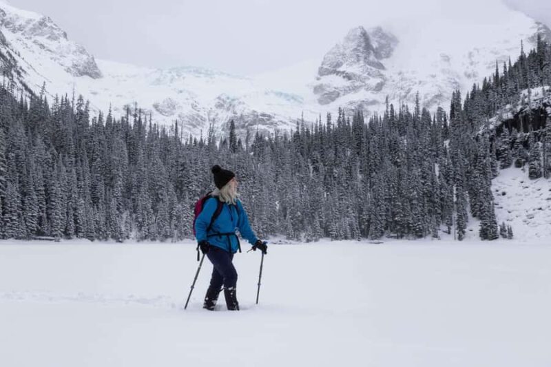 Banff: Small-group Tour of Frozen Gems of Yoho and Kootenay - Discovering the Frozen Emerald Lake in Full Winter Silence