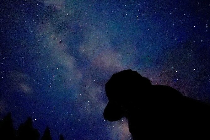 Banff Sunset and Stargazing Tour - 2hr Walking Tour - Final Thoughts on the Banff Sunset and Stargazing Tour