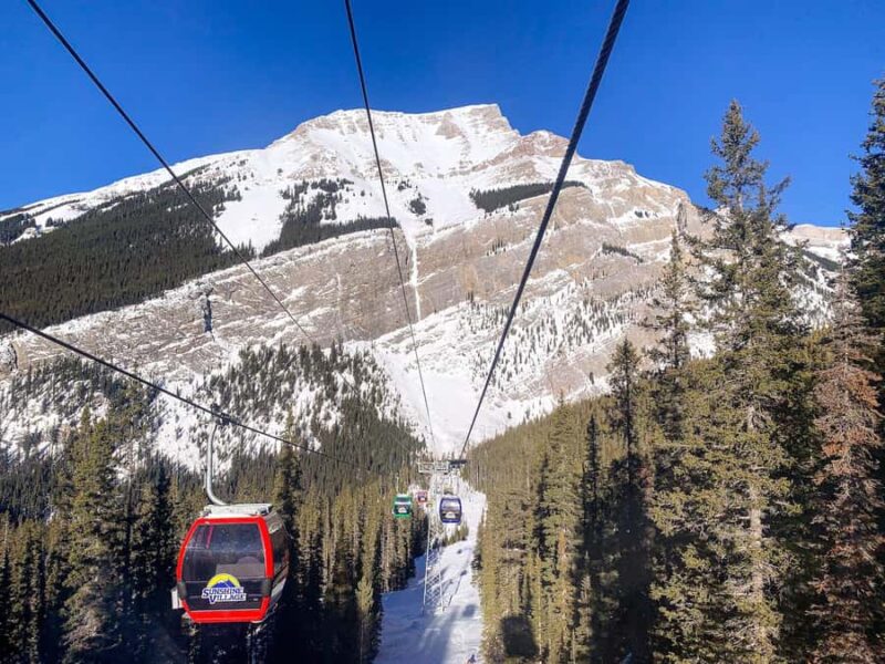 Banff: Sunshine Village Skiing, Hot Springs, & Sleigh Ride - Key Points