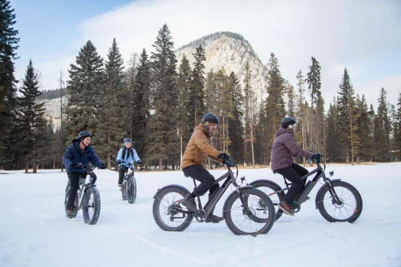 Banff Top Sights via Electric Fat Bike Tour All Skill Levels - Logistics and Comfort During the Tour