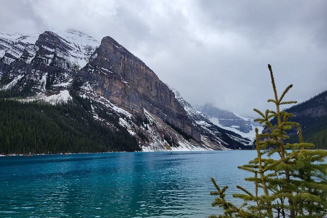 Banff Town with Gondola Exploration and Lakes Tour - Visiting Lake Louise’s Scenic Beauty