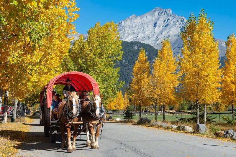 Banff: Wagon Ride with Cowboy Cookout BBQ - Scenic Wagon Ride Along the Bow River and Sulphur Mountain