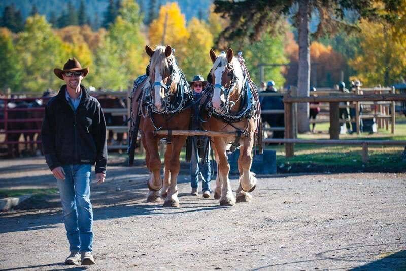 Banff: Wagon Ride with Cowboy Cookout BBQ - Western Games and Relaxing by the Fire
