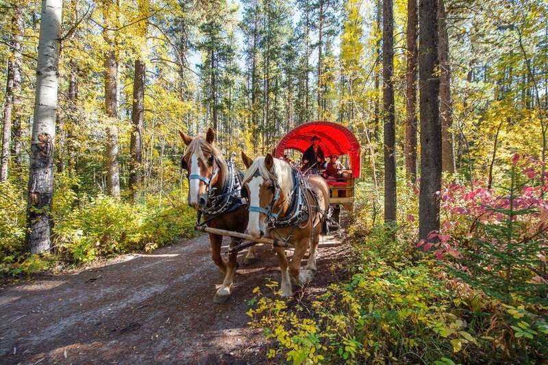 Banff: Wagon Ride with Cowboy Cookout BBQ - Banff: Wagon Ride with Cowboy Cookout BBQ – Final Thoughts