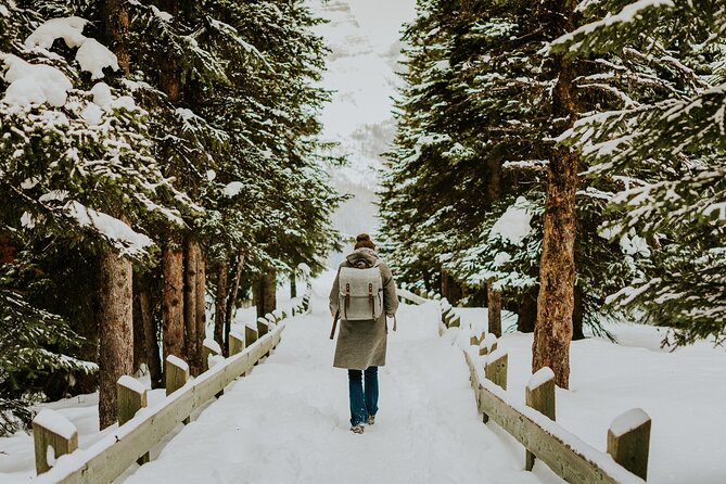 Banff Winter Walk: Including Ice Cleats + Transportation 2.5hrs - Weather Considerations and Cancellation Policy