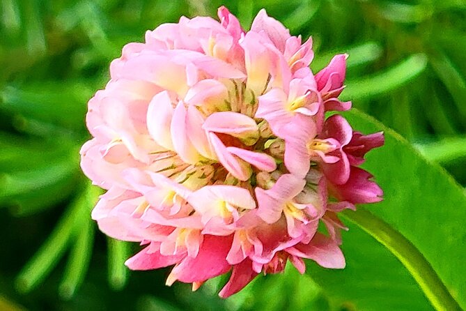 Banff, Yoho, Kootenay and Jasper Private National Parks Tour - Pricing, Booking, and Cancellation Policies