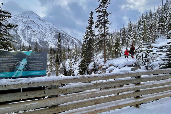 Banff, Yoho, & Kootenay National Parks Billingual Day Trip - Key Points