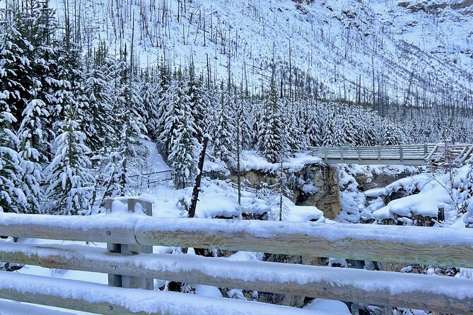 Banff, Yoho, & Kootenay National Parks Billingual Day Trip - Unique Activities: Snowshoeing and Horse-Drawn Sleigh Ride