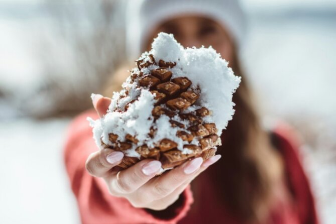 Banff's Winter Wonderland Food Tour - Discover Banff’s Festive Food Scene with the Winter Wonderland Tour