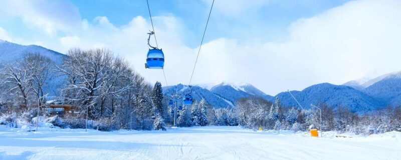 Bansko: 7-Day Christmas or New Year Ski Guided Escape - Practical Details: Accommodation, Equipment, and Transfers