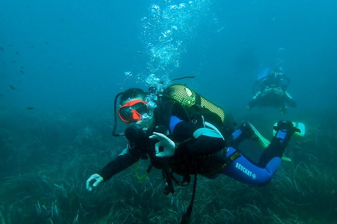 Baptism of diving from boat - Discover the Unique Charm of the Baptism of Diving from Boat in Cartagena