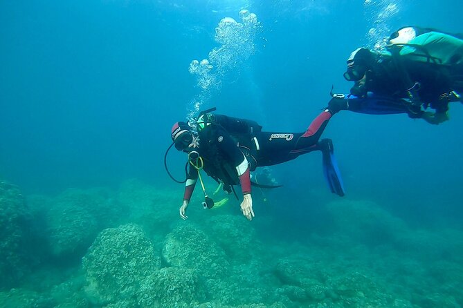 "Baptism of the Sea: Diving on the Island of Elba" - Why This Tour Stands Out Among Other Elba Activities