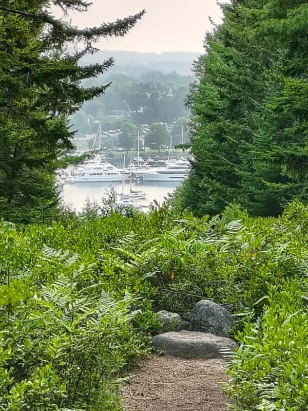 Bar Harbor: Acadia National Park and Lighthouse Private Tour - From Cadillac Mountain to Sand Beach: The Top Highlights