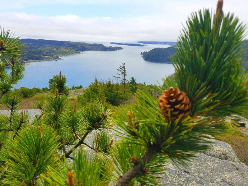 Bar Harbor: Acadia National Park Customizable Private Tour - Iconic Coastal Features: Thunder Hole and Otter Cliffs