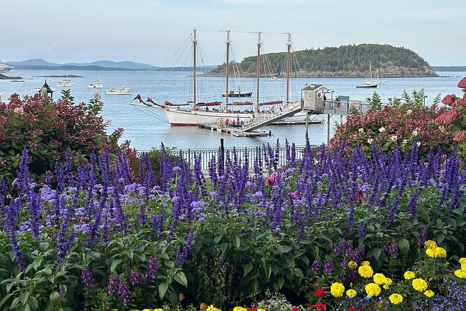 Bar Harbor and Acadia Full Day Private Tour From Bangor - Comfortable and Convenient Transportation