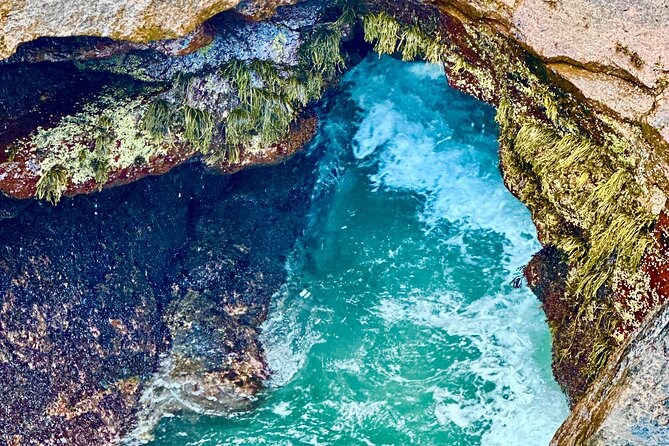 Bar Harbor and Acadia Full Day Private Tour from Portland - Exploring Acadia National Park’s Rugged Coastline and Mountains