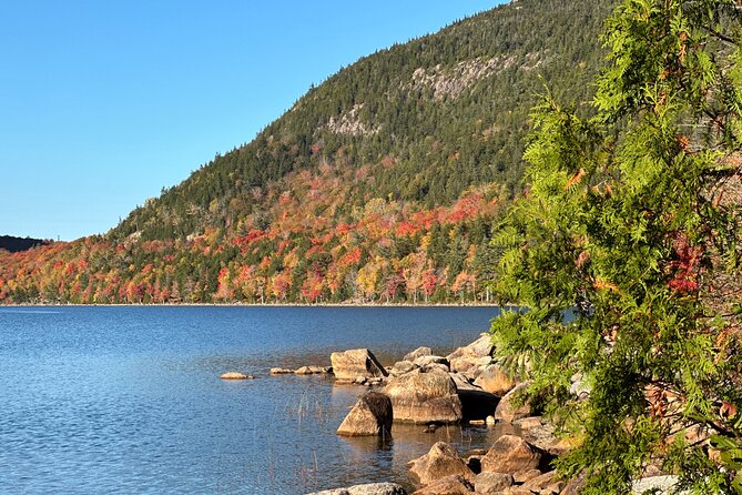 Bar Harbor and Acadia Full Day Private Tour from Portland - All-Inclusive Comfort and Additional Extras