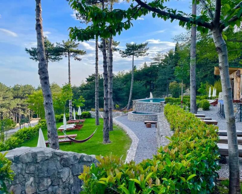 Bar, Montenegro: Shore Excursion with Skadar Lake Cruise - Key Points