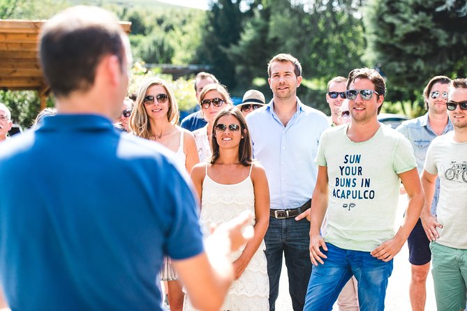 Barbaresco and Barolo Tasting at Cantina Francone - Key Points