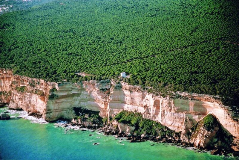 Barbate: La Breña Natural Park and Cape Trafalgar Boat Trip - Scenic Views of Cliffs in La Breña Natural Park