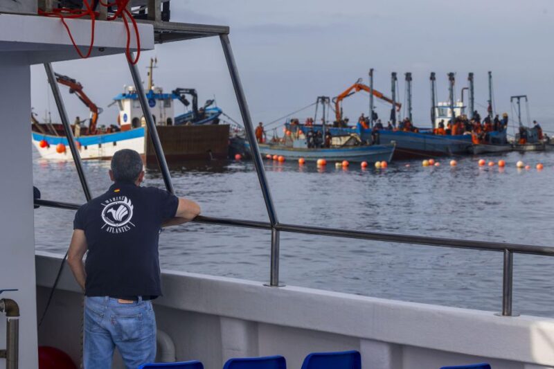 Barbate: Sunset Cruise with Glass of Cava - Practical Details and Tips