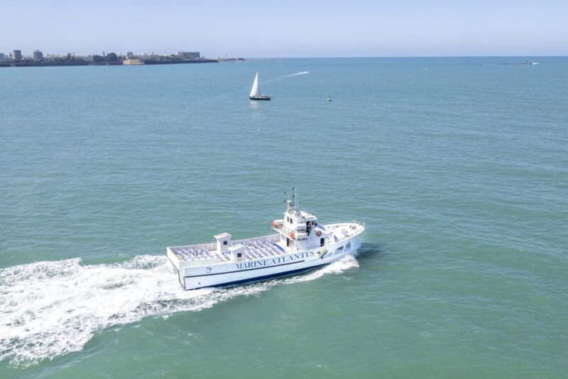 Barbate: Sunset Cruise with Glass of Cava - The Sum Up: A Serene Sunset Over the Coast