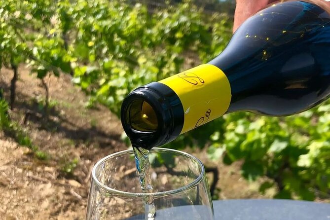 BarCa Winery Cinqueterre Trekking & Wine Tasting & Pesto Class - Wine Tasting with Sea Views in Cinque Terre