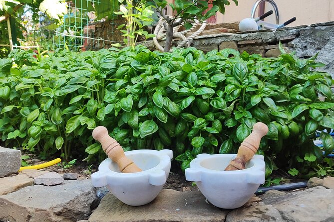 BarCa Winery Cinqueterre Trekking & Wine Tasting & Pesto Class - Logistics and Group Size for a Personalized Experience