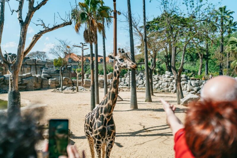 Barcelona: 1-Day Ticket to Barcelona Zoo - Why This Tour Is a Great Choice for Families