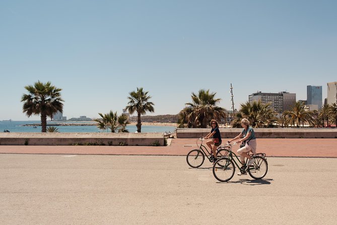 Barcelona 3-hour Bike Tour: Highlights and Hidden Gems - Highlights of the Barcelona 3-Hour Bike Tour