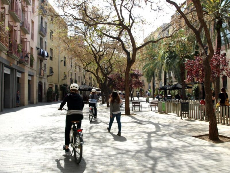 Barcelona 3 Hour Daily Electric Bike Tour - Key Points
