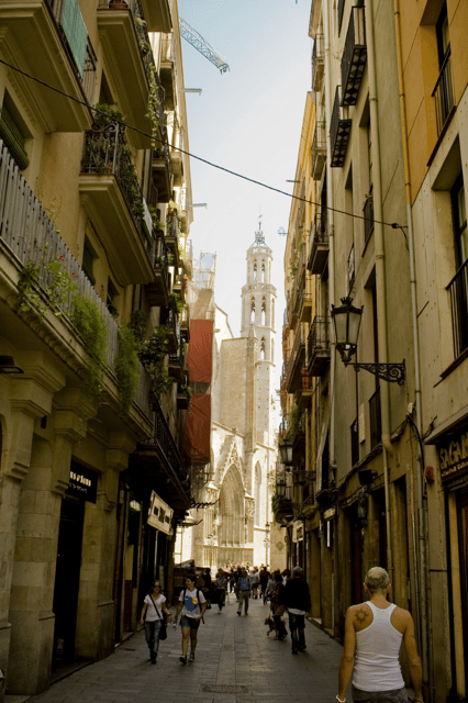 Barcelona: 4-hour Private Guided Walking Tour - Walking Through Plaza Cataluña and the Gothic Quarter