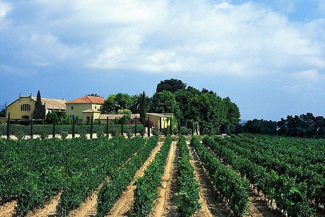 Barcelona Airport, Cuise Port or City Hotels Private Transfer - Inclusivity and Additional Services