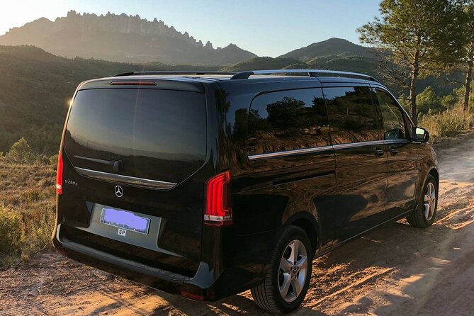 Barcelona airport transfer (From 1 to 7 passengers) - How the Service Handles Specific Needs