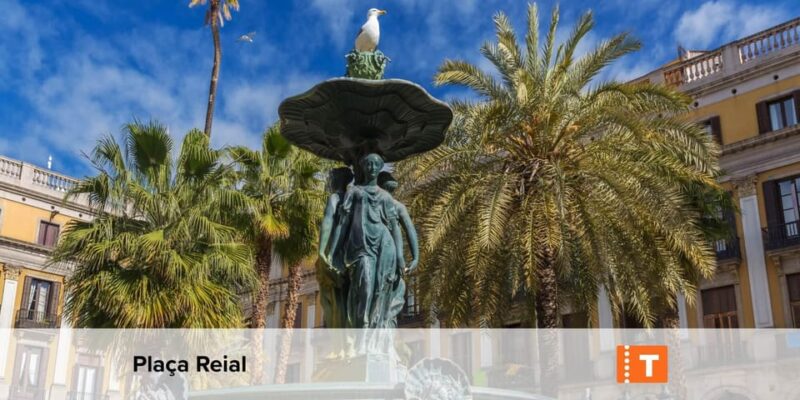 Barcelona: All-Inclusive City Card & Public Transport Option - The Overall Value of the Barcelona City Card