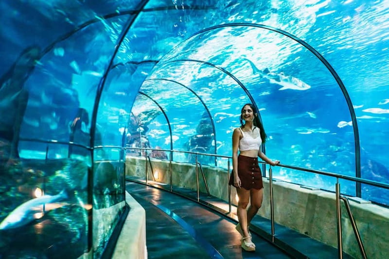 Barcelona Aquarium: Entry Ticket - The Planeta Aqua Experience for All Ages