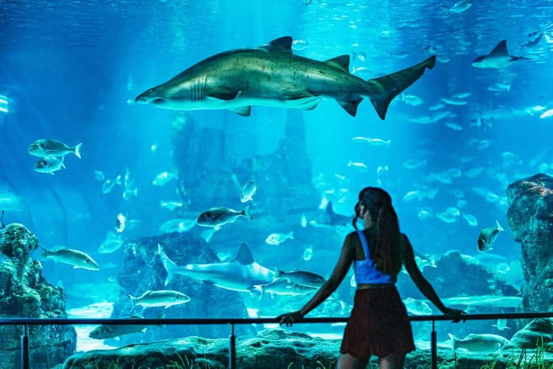 Barcelona Aquarium: Entry Ticket - Facilities and Amenities at the Aquarium