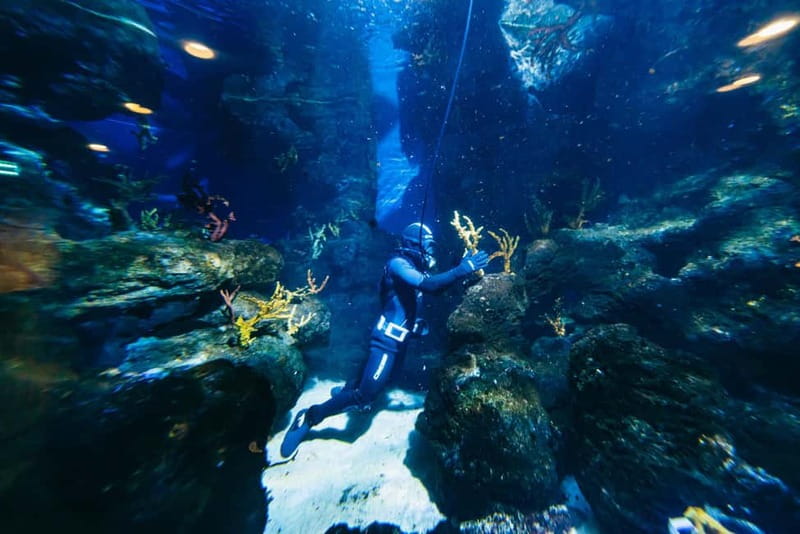 Barcelona Aquarium: Entry Ticket - Best Times and Pacing for Your Visit