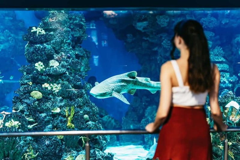 Barcelona Aquarium: Entry Ticket - Accessibility and Family-Friendly Features